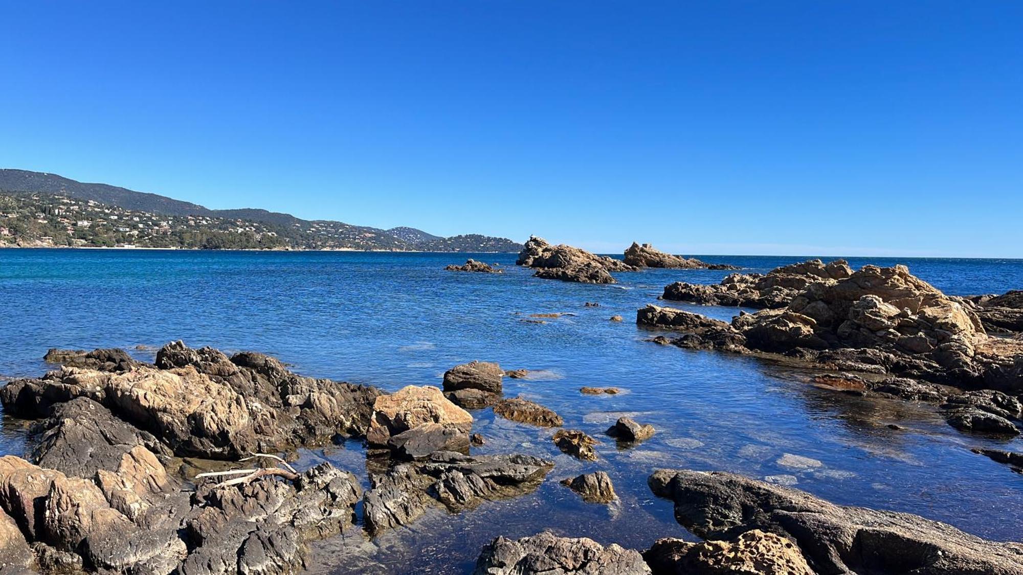 Port De Hyeres L'Etoile Marine Leilighet Eksteriør bilde